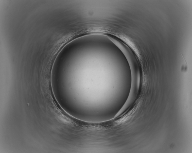 X0000090910385200707301438