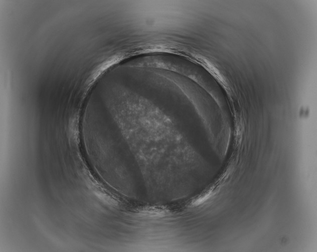 X0000090910386200707301438