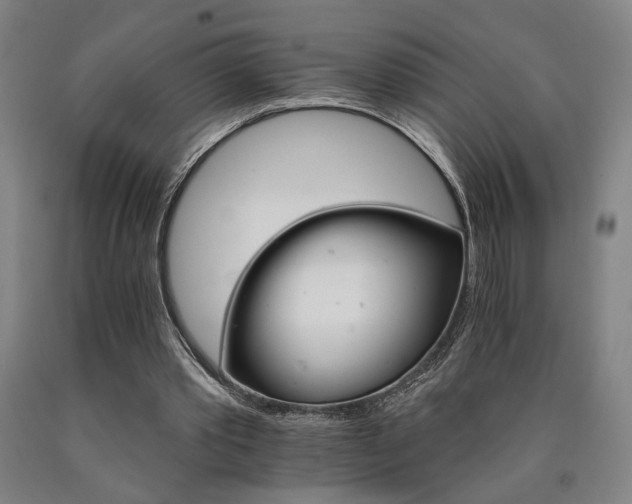 X0000090910389200707301438