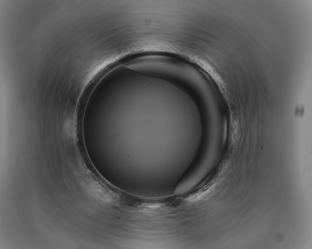 X0000090910391200707301438