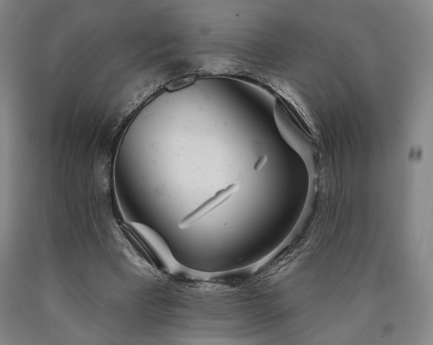 X0000090910393200707301438