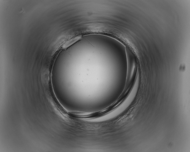 X0000090910397200707301438