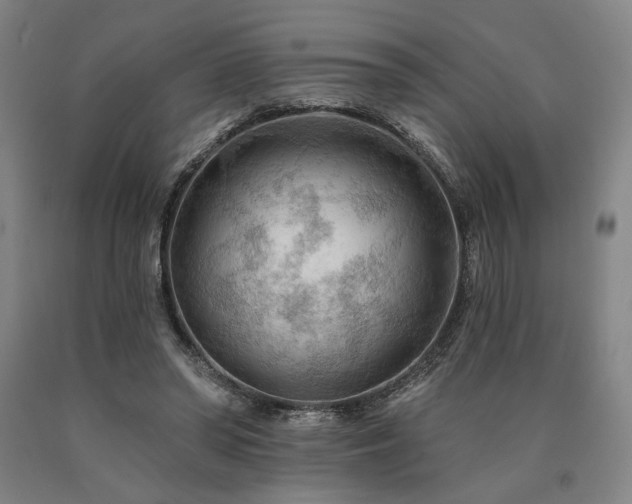 X0000090910398200707301438