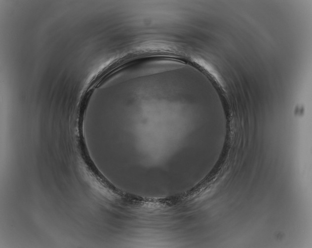 X0000090910399200707301438