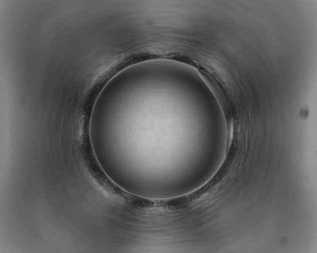 X0000090910404200707301438