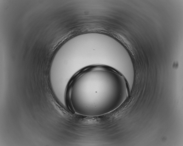 X0000090910405200707301438