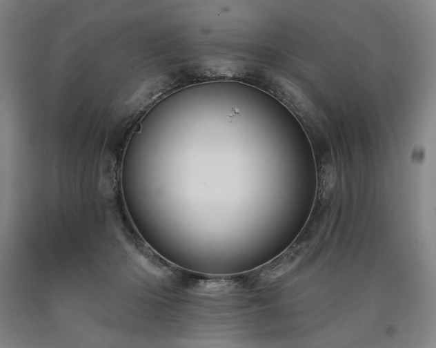 X0000090910414200707301438