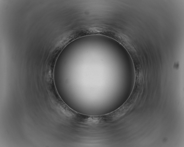 X0000090910418200707301438