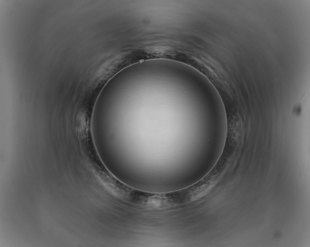 X0000090910420200707301438