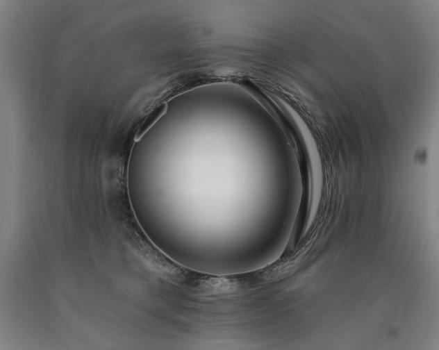 X0000090910421200707301438