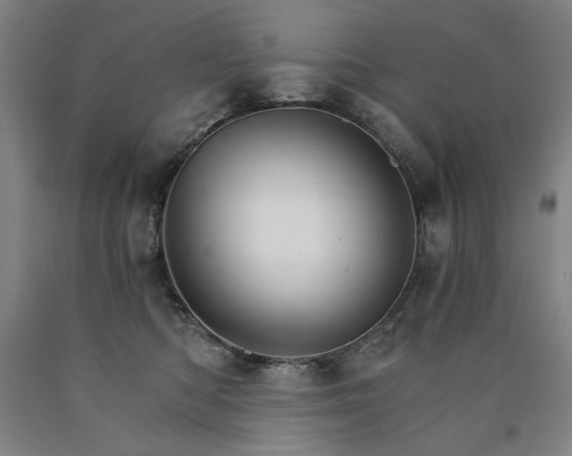 X0000090910422200707301438