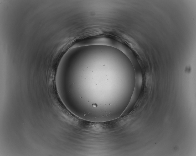 X0000090910423200707301438