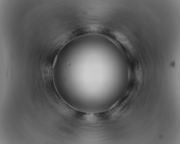 X0000090910425200707301438