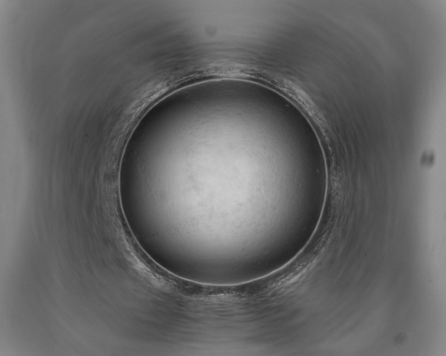 X0000090910433200707301437