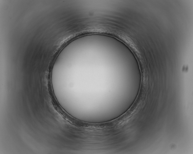 X0000090910434200707301437