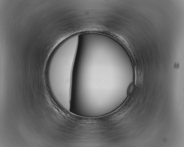 X0000090910435200707301437