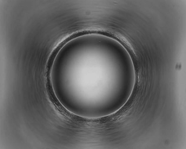 X0000090910436200707301437