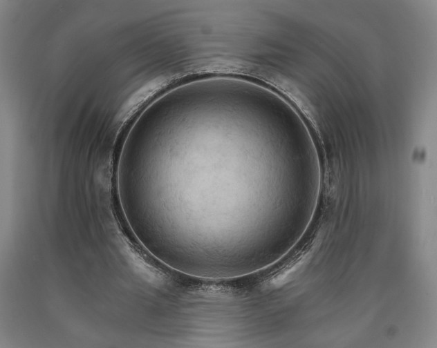 X0000090910437200707301437