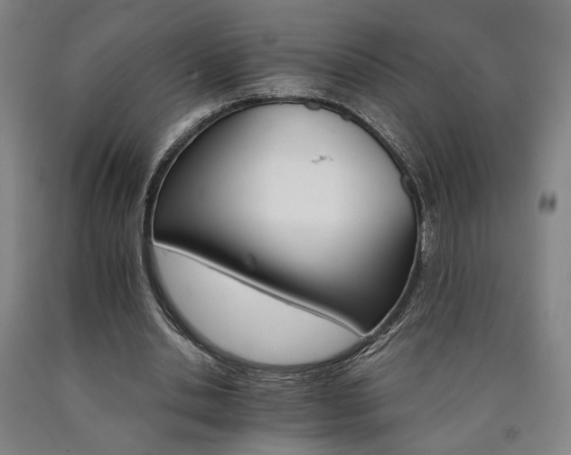 X0000090910438200707301437