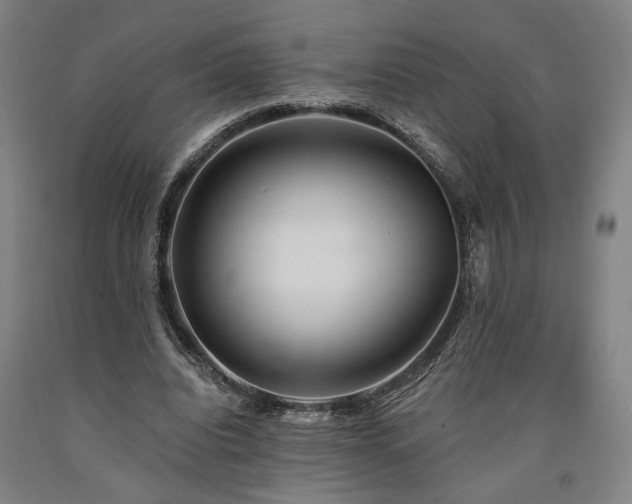 X0000090910440200707301437