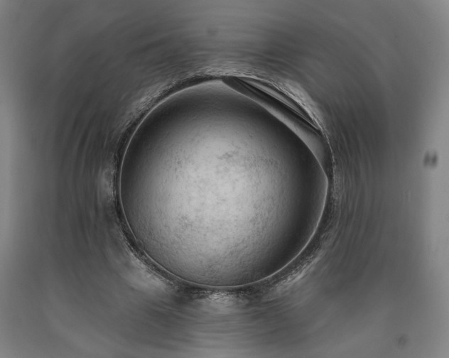 X0000090910441200707301437