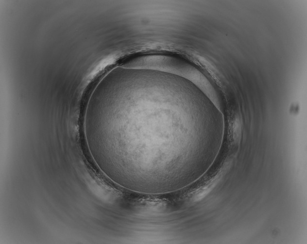 X0000090910443200707301437