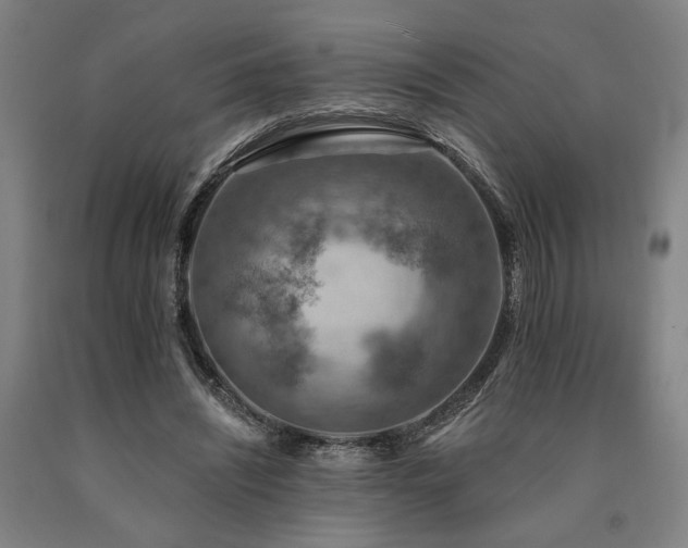 X0000090910444200707301437