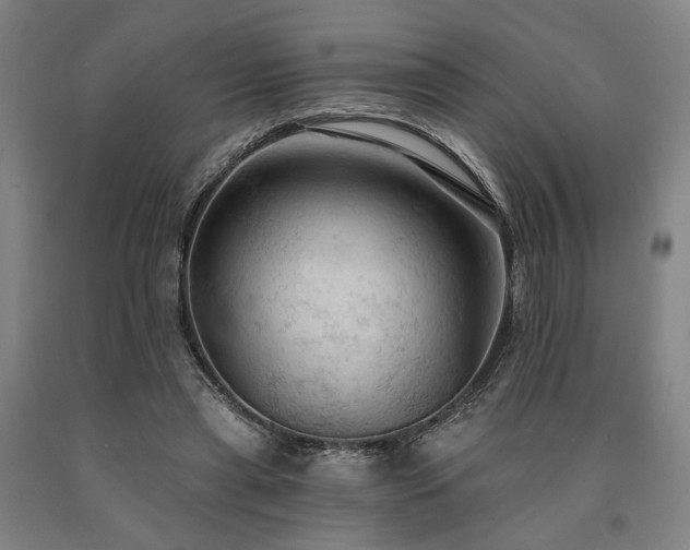 X0000090910445200707301437