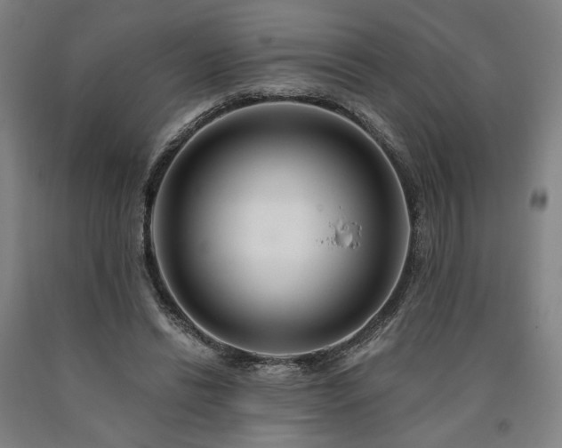 X0000090910446200707301437