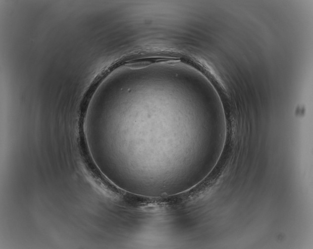 X0000090910447200707301437