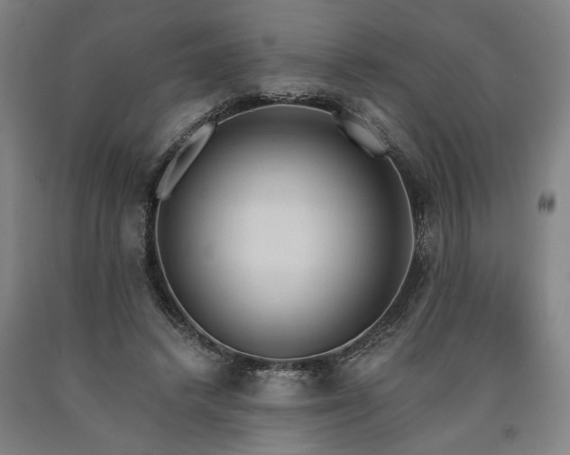 X0000090910448200707301437