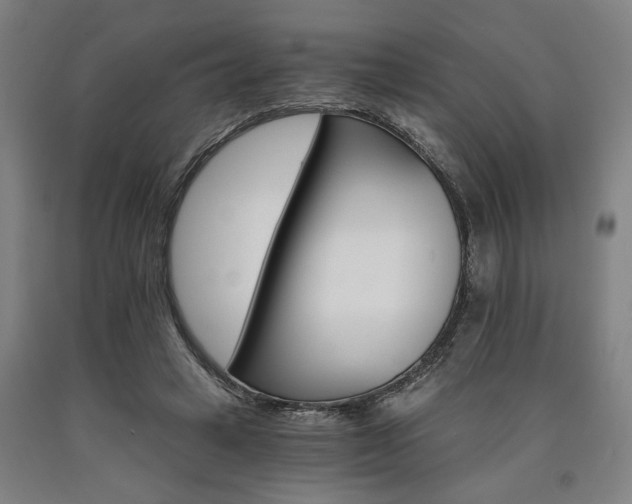 X0000090910449200707301437