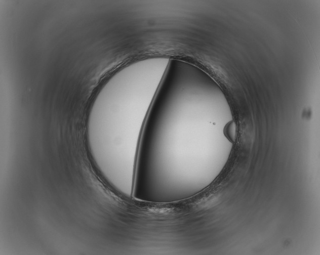 X0000090910450200707301437