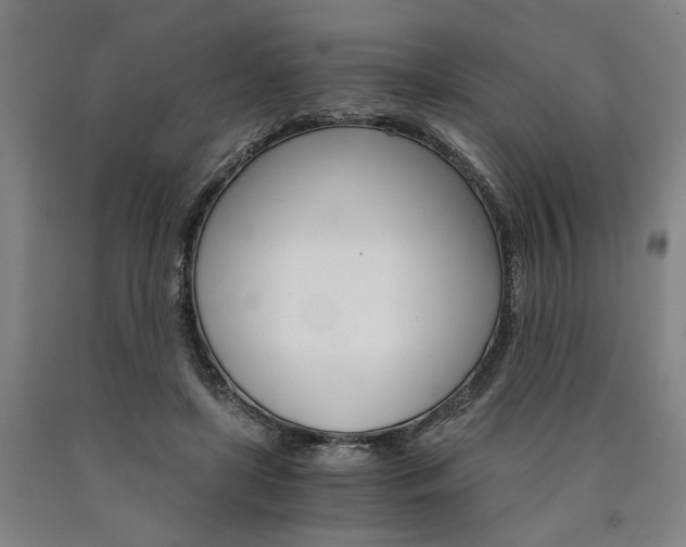 X0000090910451200707301437