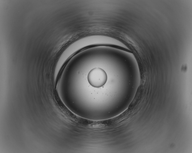 X0000090910452200707301437