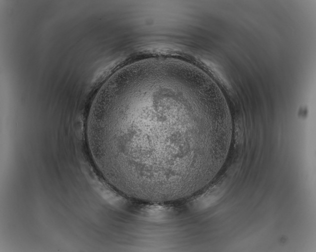 X0000090910453200707301437
