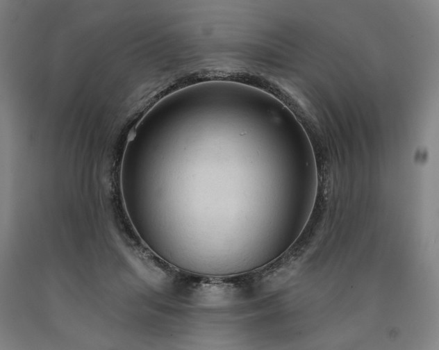 X0000090910455200707301437