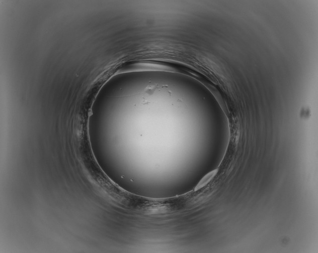 X0000090910456200707301437