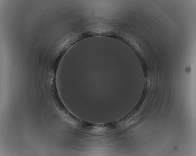 X0000090910458200707301437