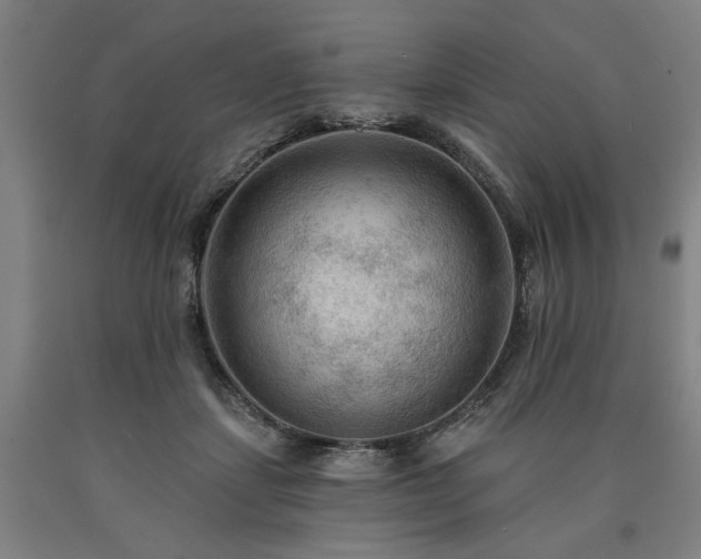 X0000090910459200707301437