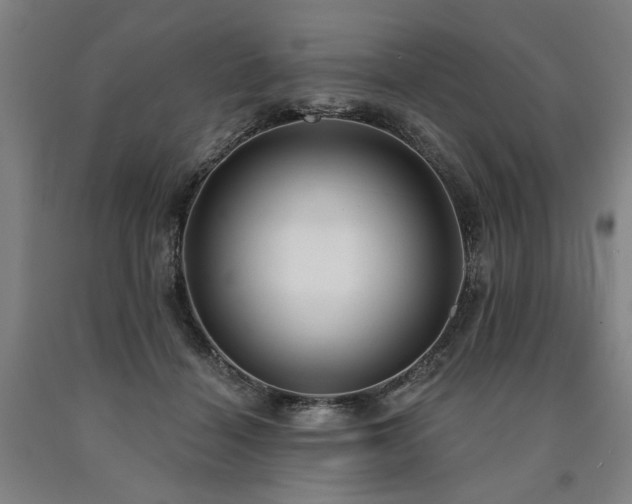 X0000090910460200707301437