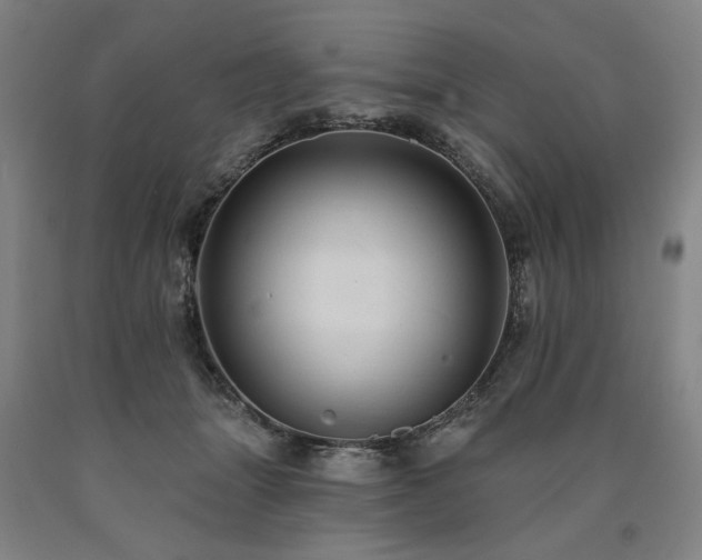 X0000090910463200707301438