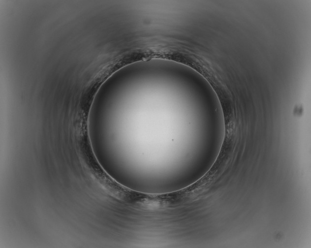 X0000090910464200707301438