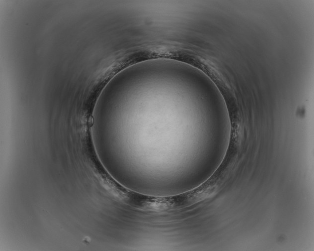 X0000090910466200707301438