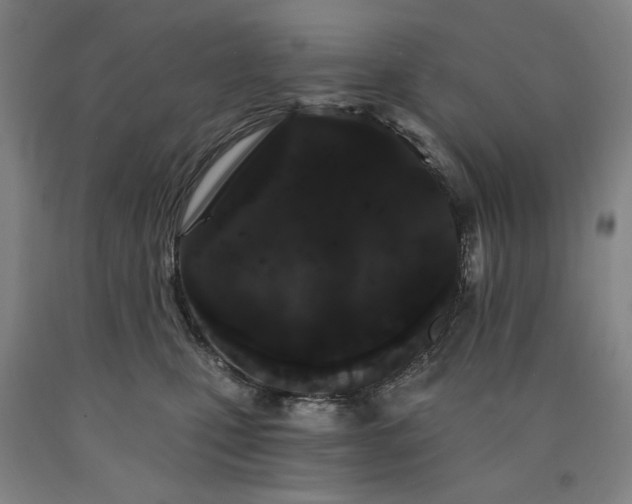 X0000090910471200707301438