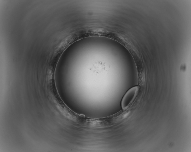 X0000090910472200707301438