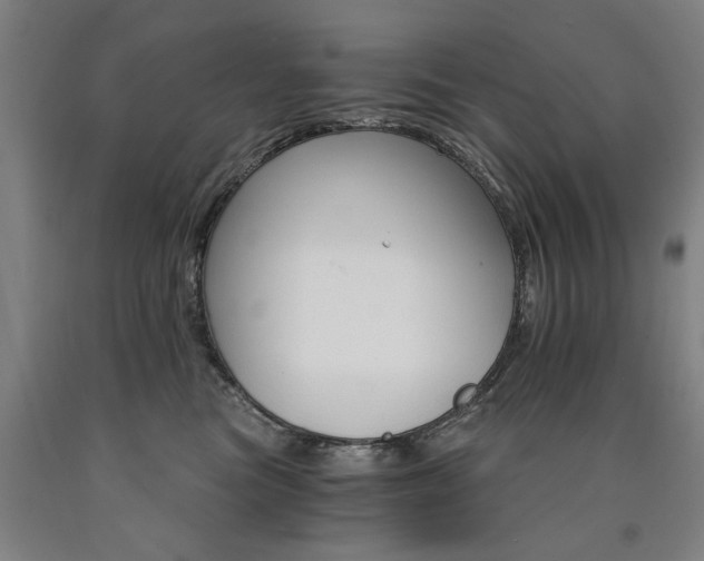 X0000090910473200707301438