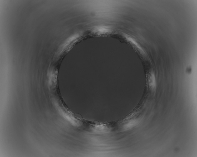 X0000090910475200707301438