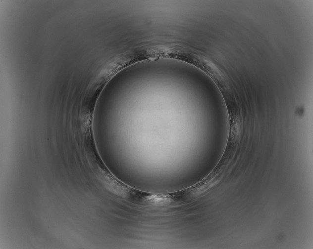 X0000090910477200707301438