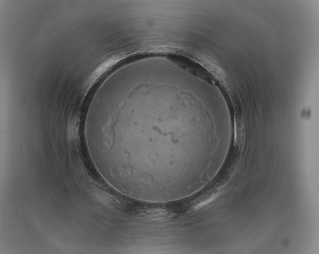 X0000090910483200707301437